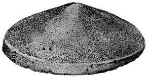 [ BRIQUETTES,CERAMIC(BOX OF 60)  ]