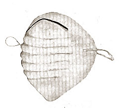 [ MASK, FACE (DISPOSABLE) (50) - ]