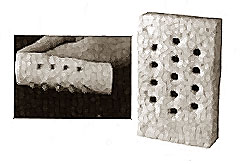 [ SPONGE (W/ BRUSH BRISTLES) - T ]