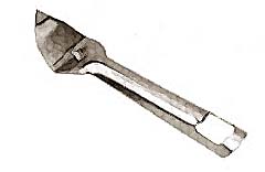 [ PUNCH, CAN (#50SS, S/S) - EDL- ]