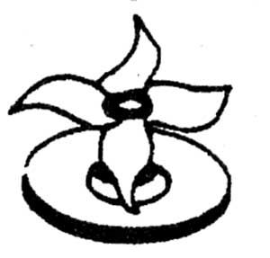 [ CUTTER - OST-01013 - Oster - A ]