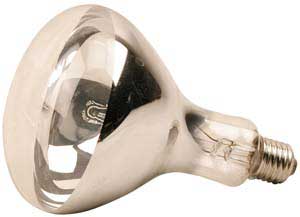 [ BULB, INFRARED (CLEAR, 375W) - ]
