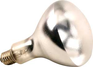 [ BULB,INFRARED(375W,SHATR RES)  ]