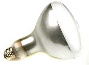 [ BULB, INFRARED (CLEAR, 250W) - ]