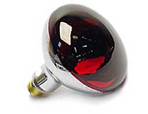 [ BULB, INFRARED (RED 250W) - EL ]