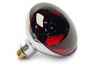 [ BULB, INFRARED (RED) ]