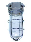 [ FIXTURE, LIGHT (PLAIN GLASS) ]