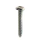 [ SCREW, SM/TH/SS (100) ]