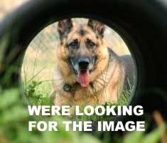 [ WASHER, FIBRE - WAR-11109 - Wa ]