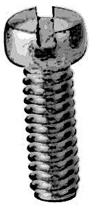 [ SCREW (S/S) - LIN-01035 - Onio ]