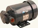 [ MOTOR (W/PUMP, 115V)         P ]