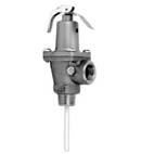 "VALVE,PRESSURE/TEMP(125#,3/4)"