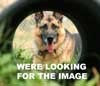BUTTON, REST (M# 948, 950)