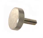 SCREW (LARGE)